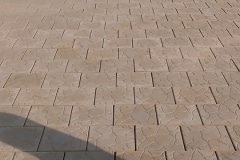 10360831_399562130241047_5659352587310605015_n
