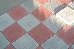 10703561_283708015159793_7206310578375735839_n