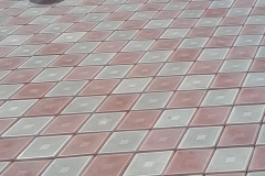 10982282_344016935795567_8388714060258600020_n