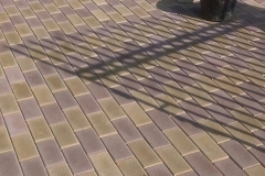 11012350_408193169377943_6308242937716758243_n