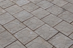 11182272_399562153574378_4475169369649912540_n