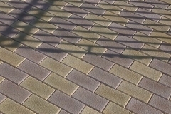 12109230_408193142711279_3684954205126500770_n