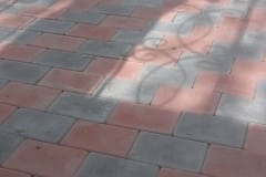 12512411_458144531049473_3217846794390728588_n