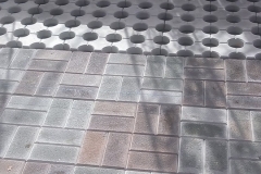 12791021_445753918955201_4558414375681234415_n