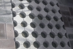 12821393_445753905621869_2691410347756981255_n