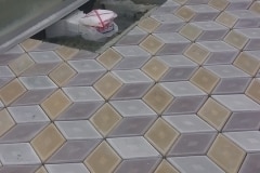 12931080_455440451319881_1512373647143835112_n