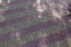 14088472_509547895909136_6329625975063835168_n