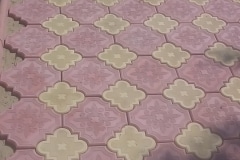 14202525_511903325673593_7347025707242949345_n