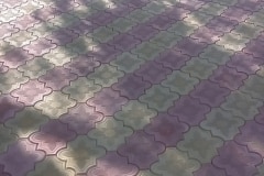 14203117_509547812575811_839186662055876404_n