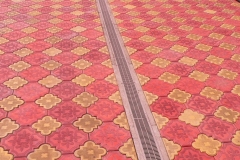 14233240_535672466631104_2016492376465165998_n