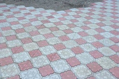 14264973_535672423297775_8412137100492109584_n