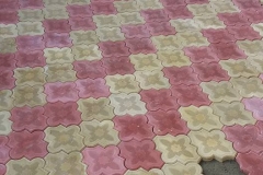 15284168_553179584879300_135984533154475163_n