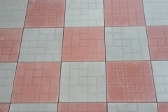 1620486_283708075159787_2307210621526791434_n