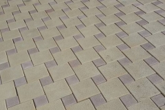17457550_602944596569465_5003012352032368661_n